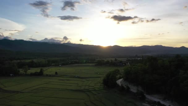 Aerial View Terraced Agriculture Field Greenery Mountains Blue Cloudy Sunlight — Stock Video