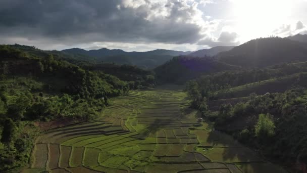 緑の山の間の段々畑の空中風景 タイ北部の青い雲と太陽の光 オムコイ地区 チェンマイ — ストック動画
