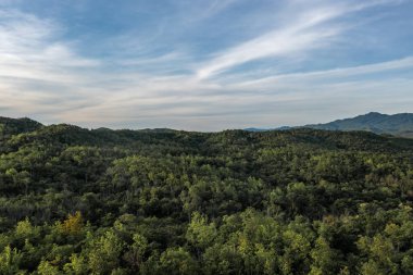 Kuzey ormanlarının, dağların ve temiz gökyüzünün güzel panoramik manzarası Tak Bölgesi, Tayland 'da beyaz bulutlarla kaplı.. 