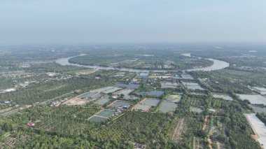 Geniş şehir banliyöleri, sıcak öğleden sonra güneşiyle sırılsıklam olmuş, geniş, açık gökyüzü ile narin bir sisle örtülmüş. Ocak 2022 'de o anın özünü yakaladı..