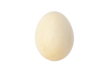 Beyaz arka planda Doğal Beyaz Yumurta. Kesme Yolları.