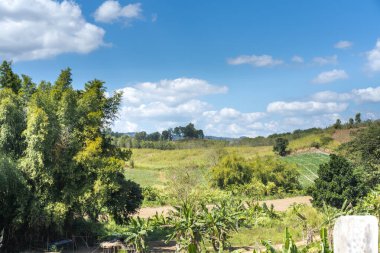Tayland Phetchabun 'daki doğal dağ atmosferi gökyüzünde bulutlarla tamamlanarak ziyaretçiler için huzurlu ve huzurlu bir ortam yaratıyor..