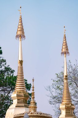 Wat Phra That Doi Tung, a famous Temple and Buddhism place. It's settled on the mountain in Chiang Rai province, north of Thailand. clipart