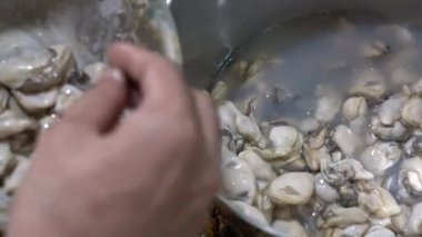 Tayland 'da sıcak, siyah tavada kızartılmış istiridye omleti pişirmenin bir parçası. Sıcak tavada, bu menü servis edilmeye ve tüketilmeye hazır..