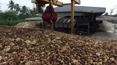 Çimento zemininde kurumuş doğal ham kauçuk yığını ve fabrikanın açık hava bölgesinde mekanik bir yakalayıcı endüstriyel makine var..