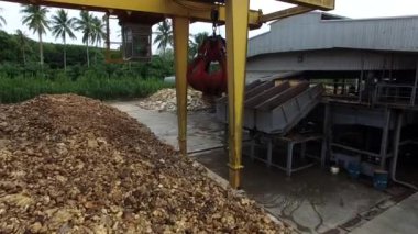 Çimento zemininde kurumuş doğal ham kauçuk yığını ve fabrikanın açık hava bölgesinde mekanik bir yakalayıcı endüstriyel makine var..