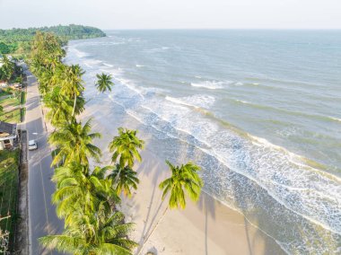 Palmiye ağaçları, ince kum ve köpük dalgalarıyla berrak gökyüzünün ariel görüntüsü Chumphon, Tayland 'daki sakin plajlara sıçradı..