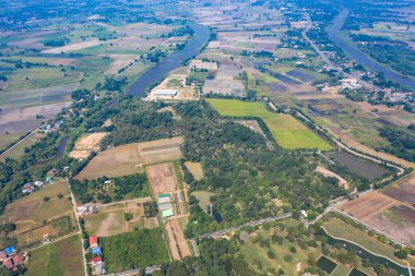 Tayland 'ın Uthaitani ilindeki pirinç tarlası çevresindeki insansız hava aracının Asya manzarası.