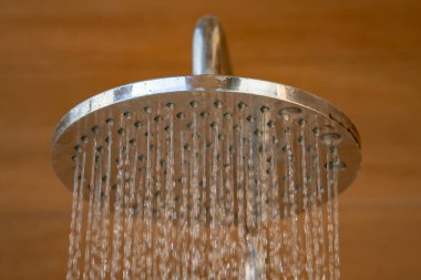 Banyo için açık hava duş başlığını kapatın ve dinlenme tesisinin havuzuna atlamadan önce cesede soğuk su yağdırın..