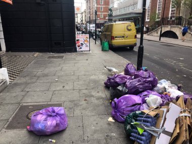 Londra, İngiltere, 12 Temmuz 2023, Yığınla Mor Çöp Torbası Yığınla Martı Çöpleri Oyalayarak Çöpleri Arıyor Kentsel Ayar Atık İmha Etme Sorunları