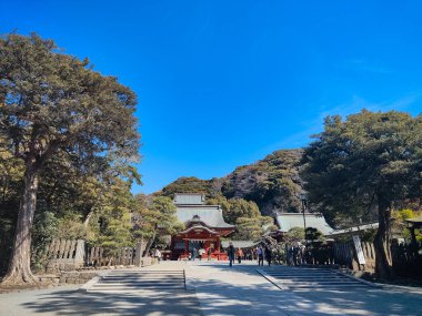 Kamakura, Japonya, 14 Mar 2024, Ziyaretçiler, Tsurugaoka Hachimangu Tapınağı 'nda yürürler, açık mavi gökyüzü altında geleneksel kırmızı kapılar, taş basamaklar ve çevreleyen yeşillikler bulunur..