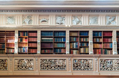 Woodstock, Birleşik Krallık, 12 Temmuz 2023, Süslü ahşap raflarda sıralanmış antika kitaplarla dolu tarihi bir kütüphanenin iç görünümü.