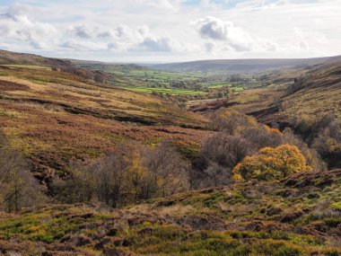 Rosedale 'i Rosedale Demiryolu' nun başındaki vadiden Doğu Rosedale Madenleri 'nin kalıntıları, Kuzey York Moors Ulusal Parkı, İngiltere