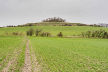 Castle Hill, Wittenham Clumps 'taki tepe kalesi Bronz Çağı' nın sonlarından kalma. Demir Çağı 'nın başlarından kalma, Oxfordshire, İngiltere.