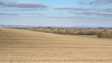 Roundabout Tepesi 'nin yamacında Ardington köyünün görüntüsü. Batı Hendred, Oxfordshire, İngiltere' ye bakıyor.