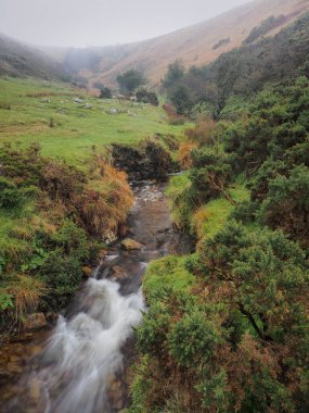 Stream winding its way down a steep gulley into Meldon Reservoir under low cloud, Dartmoor National Park, Devon, UK clipart