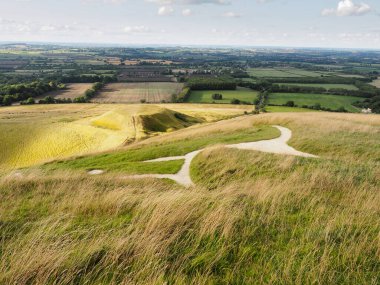 Looking over the head of the Uffington White Horse on the Ridgeway, the oldest chalk hill figure in England dating from the Bronze Age, down to Dragon Hill, a natural outcrop, Oxfordshire, UK clipart