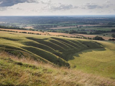 Ejderha Tepesi 'nin hemen batısında, Dik kenarlı kümes hayvanı, ya da 