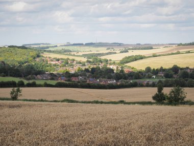 Bir buğday tarlasına bakıyorum ve İngiltere, Berkshire, Coppington Hill 'den Lambourn köyüne.