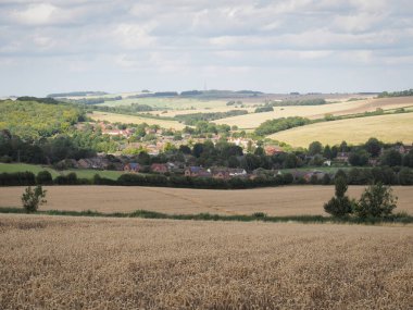 Looking back over a wheat field and down to the village of Lambourn from Coppington Hill, Berkshire, UK clipart