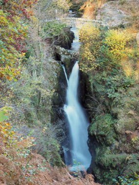 İngiltere 'nin Ullswater Gölü yakınlarındaki yeşil yosunlarla kaplı Sonbahar yaprakları ve kayaların arasından Aira Force şelalesinden akan su.