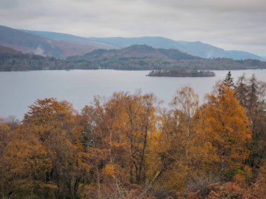 Derwent Water, Lake District, UK manzaralı ağaçlarda güzel turuncu ve altın sonbahar renkleri