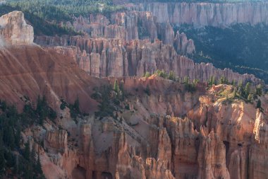 Bryce Canyon Ulusal Parkı Utah Manzarası