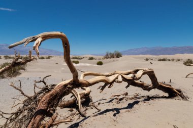Ölüm Vadisi Mesquite Düz Kum Tepeleri