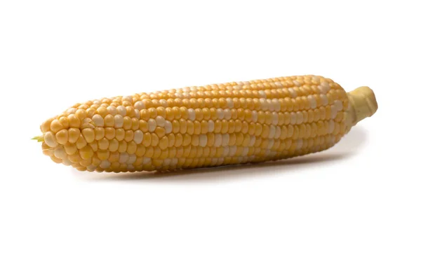 Yellow Sweet Corn Isolated White Background Copyspace — Stock Fotó