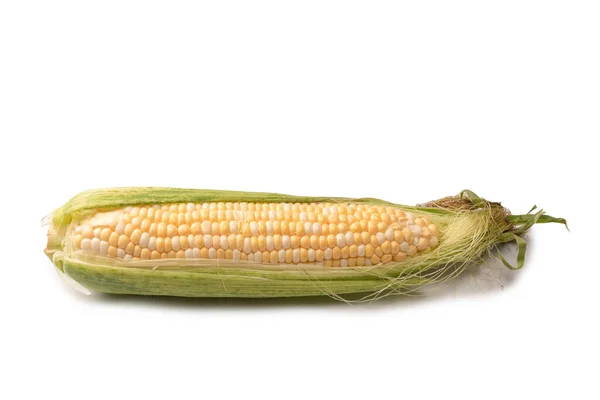 Yellow Sweet Corn Isolated White Background Copyspace — Foto Stock