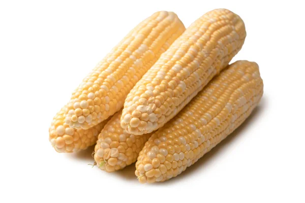 Yellow Sweet Corn Isolated White Background Copyspace — Φωτογραφία Αρχείου