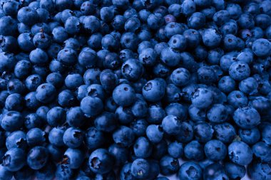 Fresh blueberry as a background. Texture blueberry berries close up.