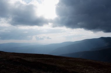 Yeşil çayırlar, ağaçlar, arka planda dağlarda koyu alçak bulutlar olan Karpatya yaban örümceğinin güzel manzarası. Seyahat yerleri. Sonbahar manzarası. 