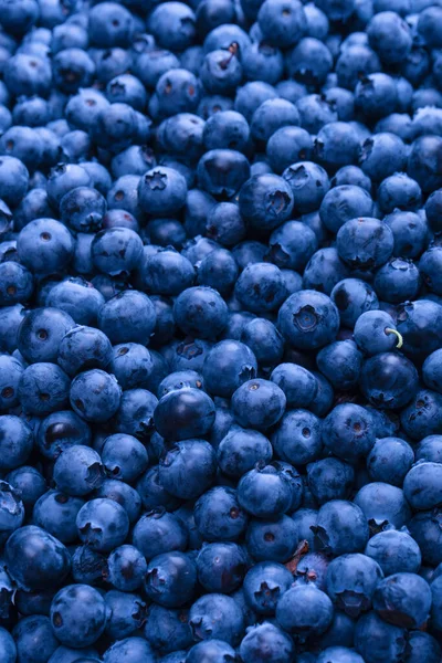 Fresh Blueberry Background Texture Blueberry Berries Close — Photo
