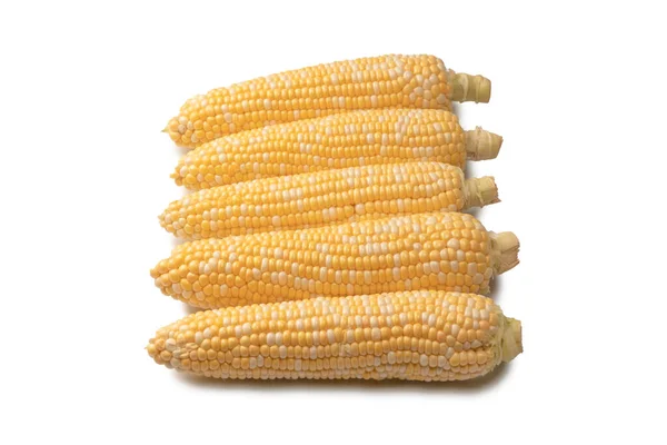 Yellow Sweet Corn Isolated White Background Copyspace — Stock Photo, Image