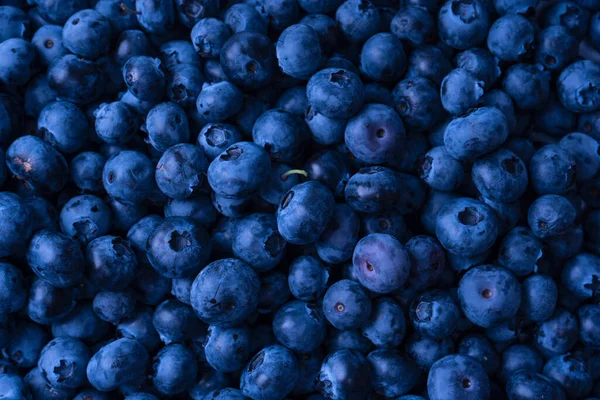 Fresh Blueberry Background Texture Blueberry Berries Close — Stock Fotó