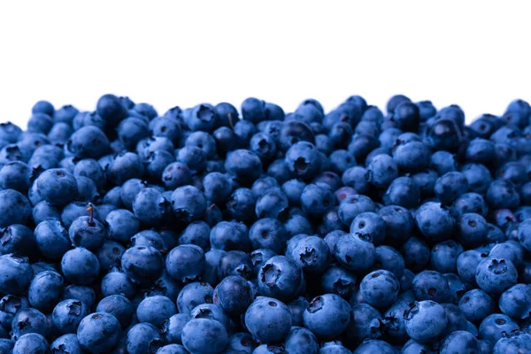 Fresh Blueberry Background Texture Blueberry Berries Close — Foto de Stock