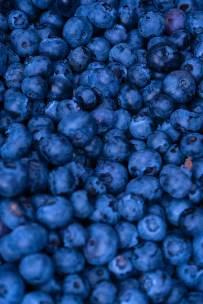 Fresh Blueberry Background Texture Blueberry Berries Close —  Fotos de Stock