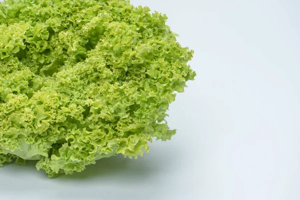 stock image Iceberg lettuce isolated on a white background. 