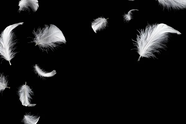 Bílé Plovoucí Peří Izolované Černém Pozadí — Stock fotografie