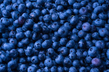 Fresh blueberry as a background. Texture blueberry berries close up.