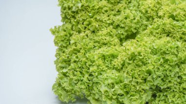 Beyaz arkaplanda izole edilmiş buzdağı marulu. 