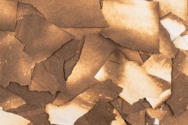 Beyaz arka planda izole edilmiş yanmış kağıt. Boşluğu kopyala