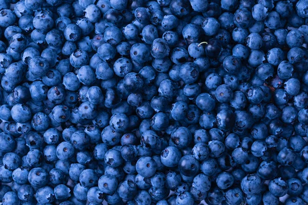 Fresh Blueberry Background Isolated White Background — Foto Stock