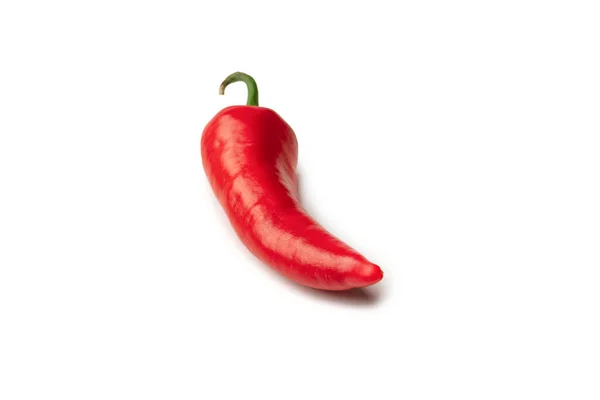 Red Hot Chili Pepper Isolated White Background — Stock Photo, Image
