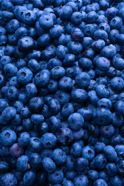 Fresh Blueberry Background Texture Blueberry Berries Close — Zdjęcie stockowe