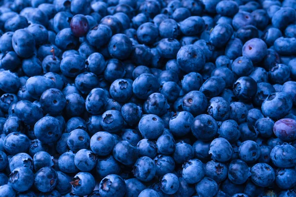 Fresh Blueberry Background Texture Blueberry Berries Close — Stock Fotó