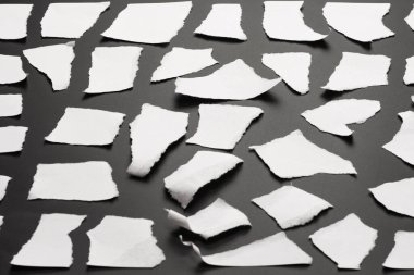 Boş beyaz kağıt parçaları izole edilmiş. Metin veya tasarım için boşluk. 