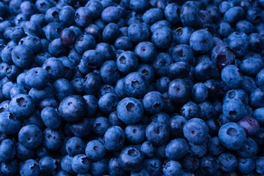 Fresh blueberry as a background. Texture blueberry berries close up.