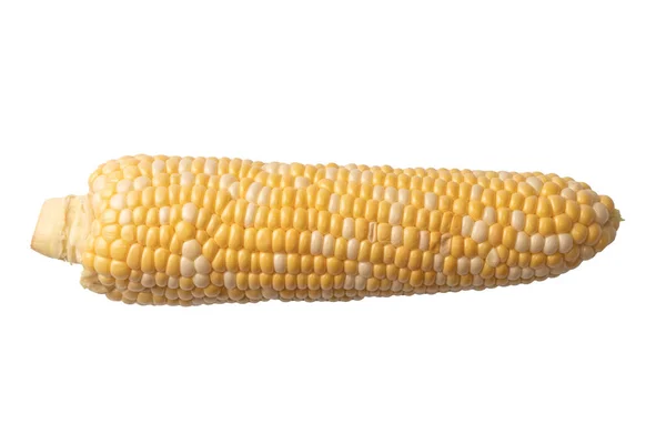 Yellow Sweet Corn Isolated White Background Copyspace — Stock Photo, Image